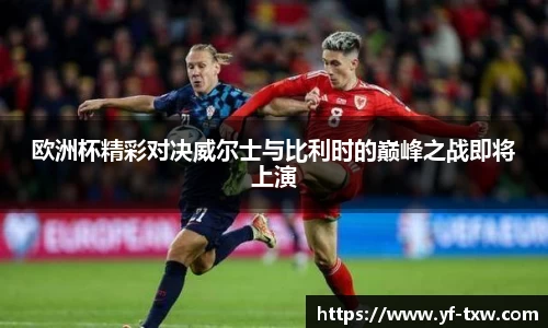 欧洲杯精彩对决威尔士与比利时的巅峰之战即将上演